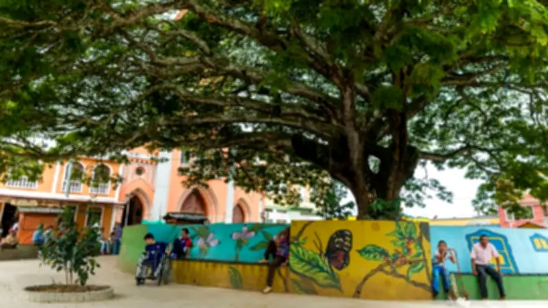 Alcalá, Valle del Cauca: El destino cafetero ideal para ecoturismo a tres horas de Cali