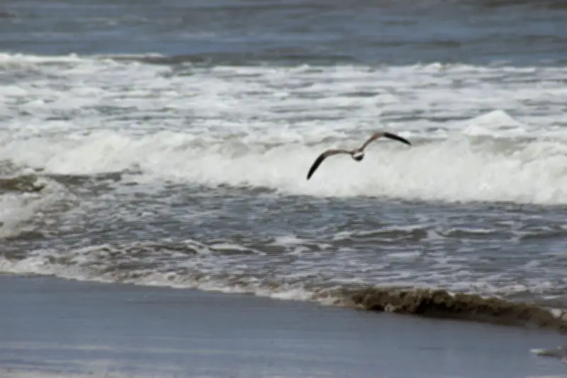 Alerta por marea sizigia en el Pacífico colombiano: afectará cuatro departamentos