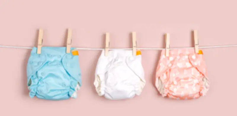 Algas pardas para toallas sanitarias y pañales: el proyecto europeo que revoluciona la higiene sostenible