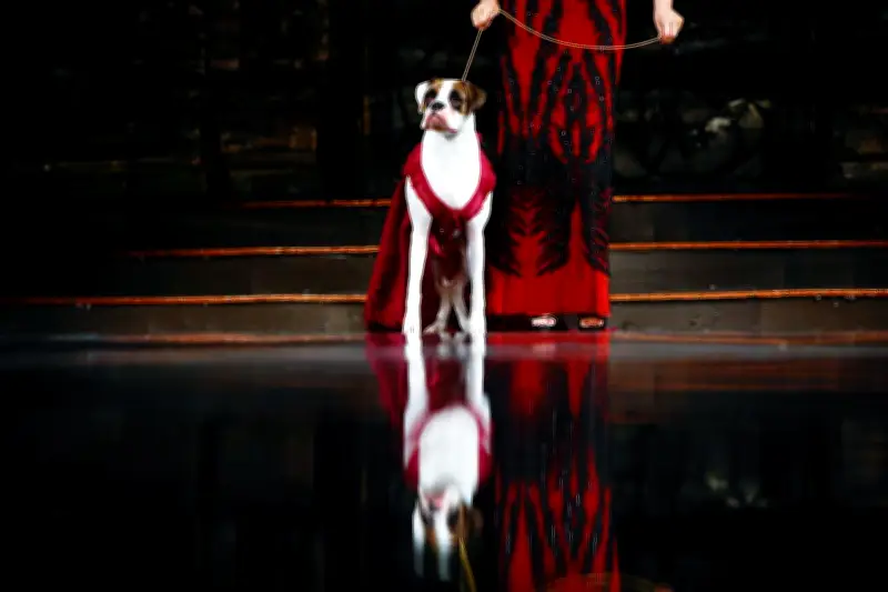 Anthony Rubio presenta colección de moda para mascotas en Colombia