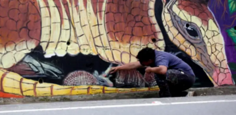 Arte urbano con conciencia: 'Bacho' pinta mural de 83 m² sobre biodiversidad en la vía Cali-Buenaventura