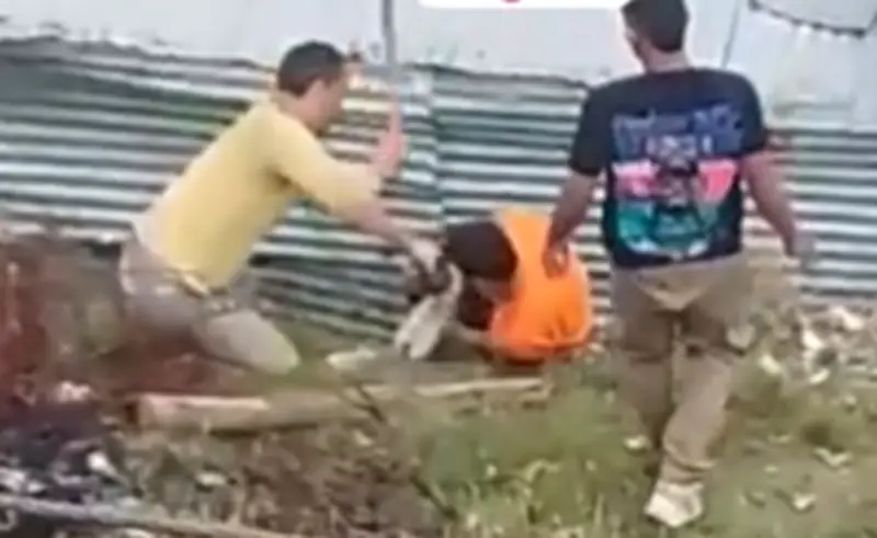 Autoridades confirman ataque a perro en Ciudad Bolívar y activan ruta judicial contra responsables