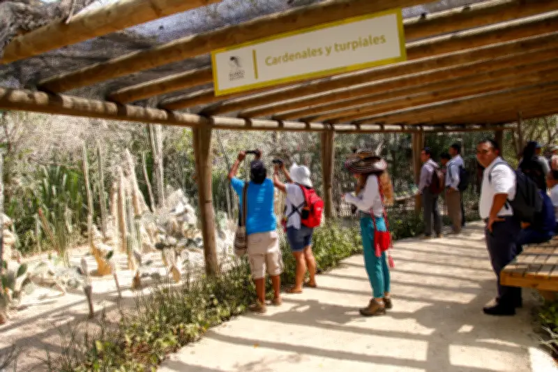 Aviario Nacional de Colombia celebra 10 años con entrada gratuita para bolivarenses