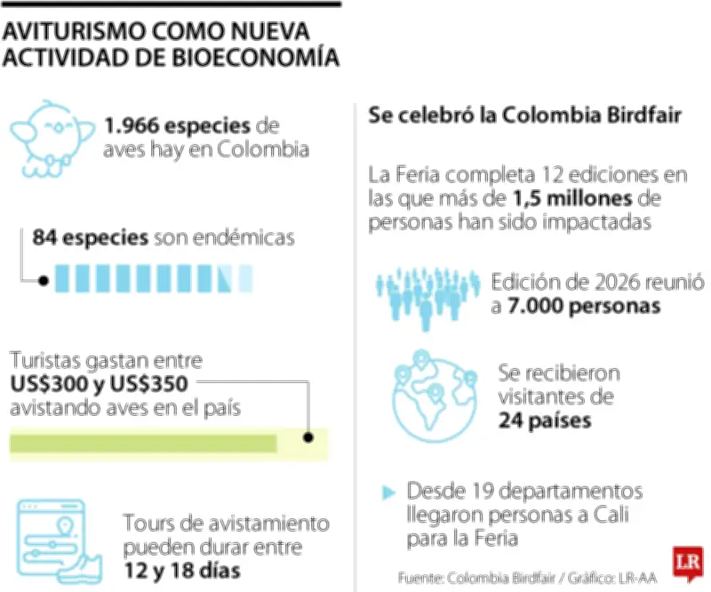 Aviturismo en Colombia: Observadores de aves gastan hasta US$350 diarios dinamizando economías locales