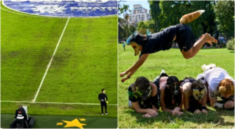 Bogotá FC busca mascota oficial Therian en broma viral que aprovecha moda animal