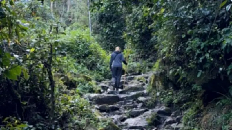 Bogotá invita a recorrer sus senderos ecológicos mediante agendamiento digital obligatorio