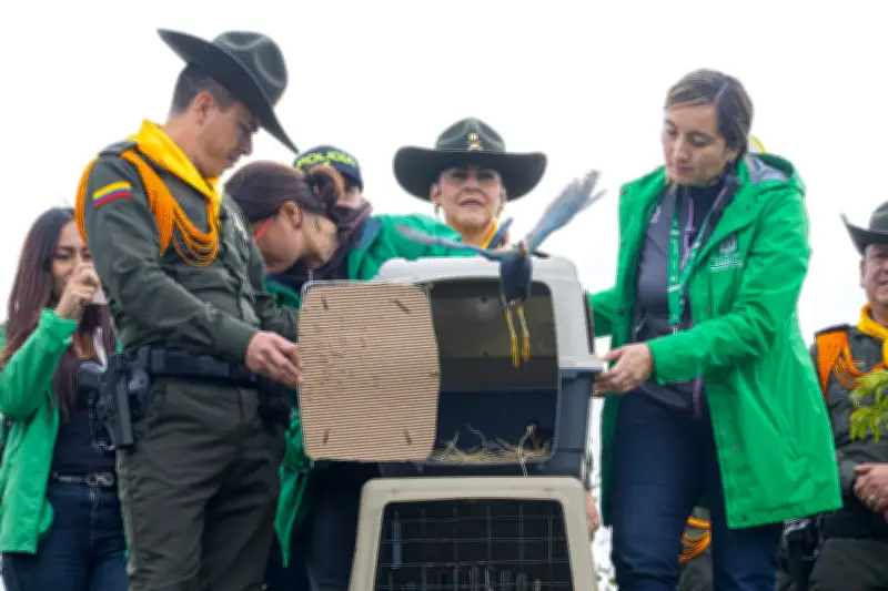 Bogotá libera aves migratorias en humedal El Tunjo en el Día Mundial de los Humedales