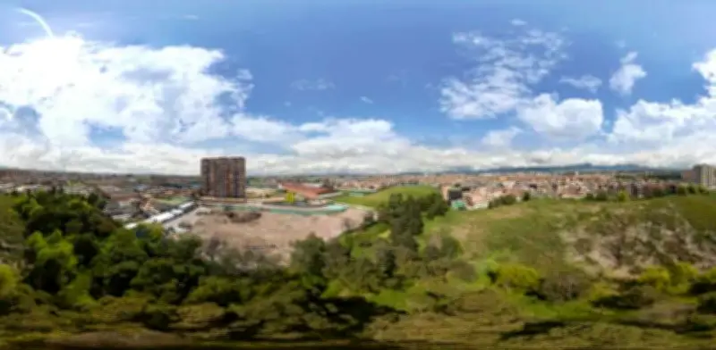 Bogotá reemplaza 311 árboles exóticos por 3.500 nativos en humedales para restaurar ecosistemas