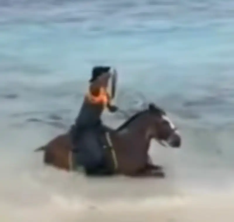 Caballo de la Policía se baña en el mar de San Andrés durante patrullaje y se vuelve viral