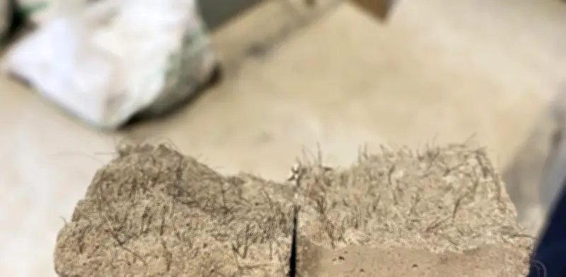 Cabello humano fortalece viviendas contra terremotos: innovación de la Universidad de Medellín