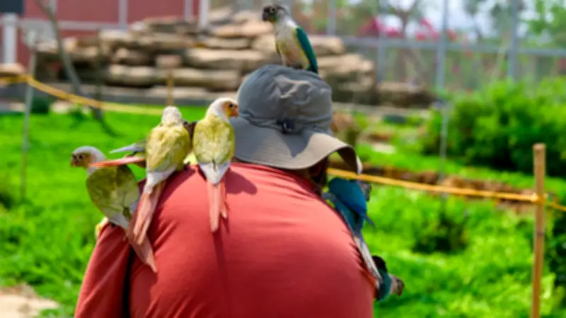 Cali se consolida como 'Ciudad de las Aves' al albergar la Colombia Birdfair 2026