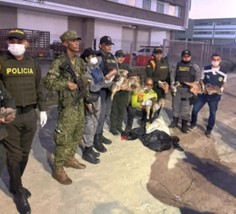 Capturan a persona con carne de fauna silvestre en operativo ambiental en Cartagena