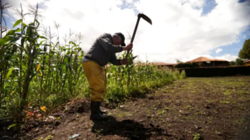 Cartagena acoge histórica conferencia internacional sobre reforma agraria y desarrollo rural