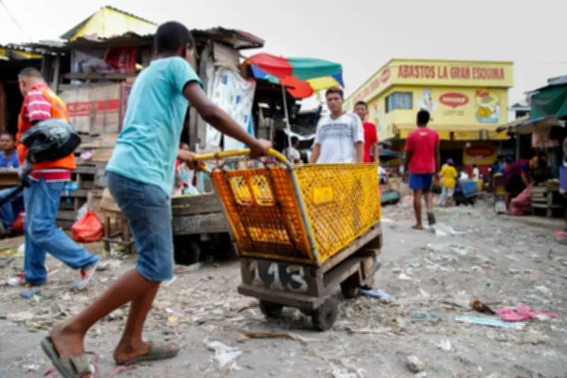 Cartagena: La lucha contra el trabajo infantil muestra avances pero persisten desafíos