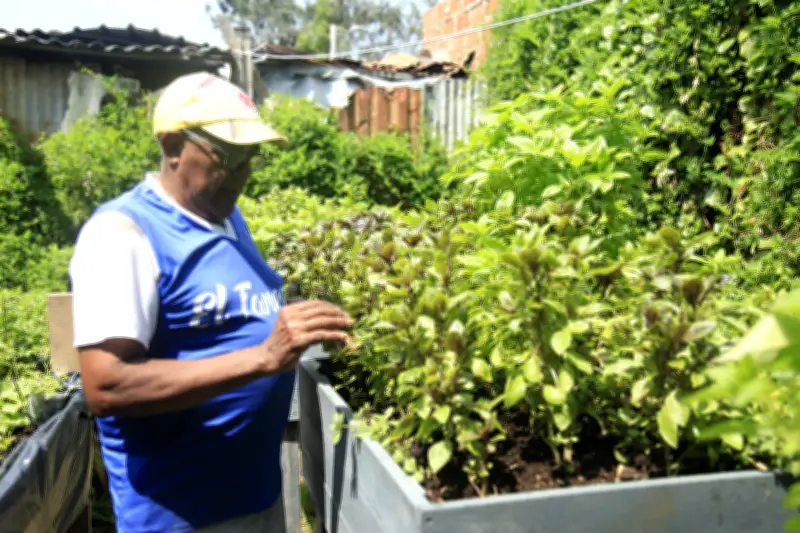 Cartagena transforma su estigma: Tour filantrópico revela la verdadera cara del barrio Olaya Herrera