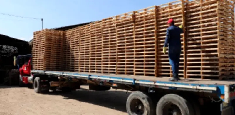 Central de Maderas lidera la economía circular con remanufactura de estibas en Colombia