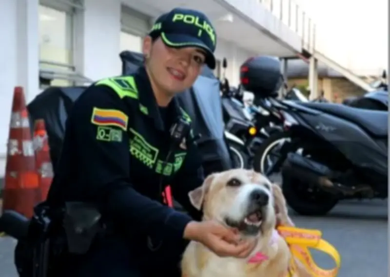 Chela, la perrita que conmovió a Pereira, es adoptada por la Policía tras perder a su cuidador