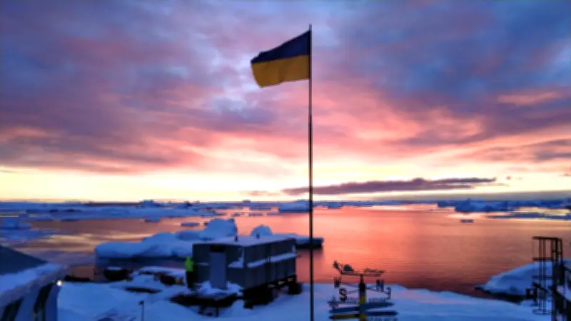Ciencia ucraniana en la Antártida: Pingüino rey avistado en estación Vernadsky