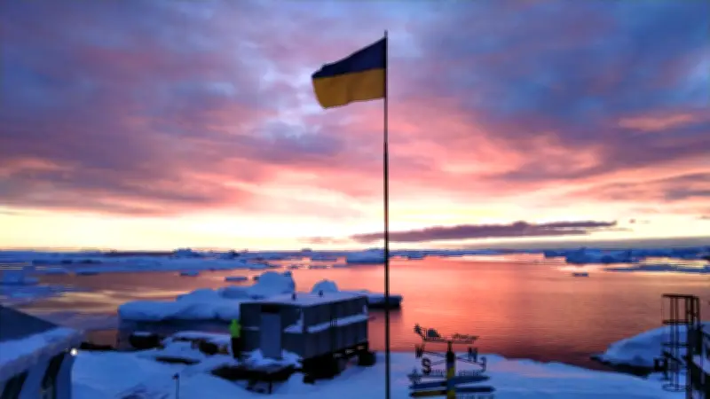 Científicos ucranianos avistan pingüino rey en Antártida mientras continúa guerra con Rusia