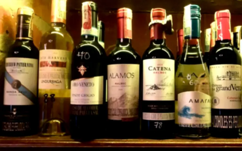 Cómo leer la etiqueta del vino: una guía completa para elegir la botella perfecta