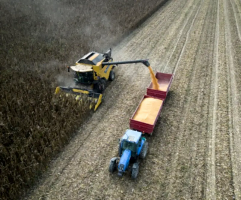 Colas de 30 km en Brasil: camiones con soja esperan días en puerto por cosecha récord