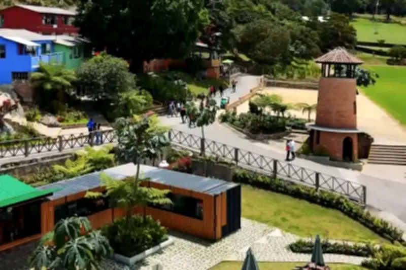Colegio Refous en Colombia solicita reorganización empresarial tras casi 70 años de historia