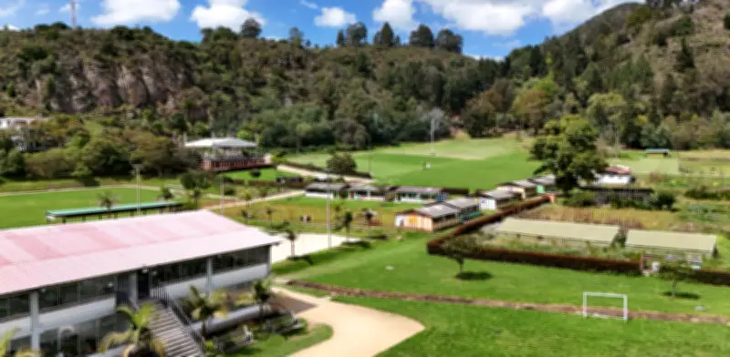 Colegio Refous niega cierre y explica su solicitud de reorganización empresarial