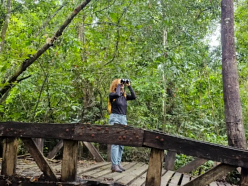Colombia BirdFair 2026: Cali se prepara para el mayor evento de aviturismo del país