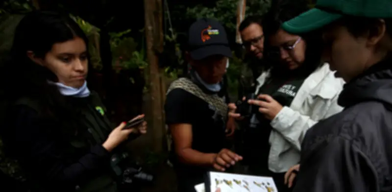 Colombia Birdfair 2026: Cali se viste de plumas con feria internacional de aves para niños y jóvenes