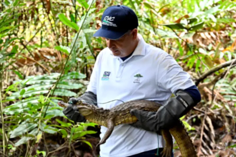 Colombia intensifica lucha contra tráfico de fauna silvestre con estrategia nacional coordinada
