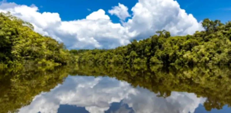 Colombia perdió $2.6 billones por falta de regulación en bonos de carbono