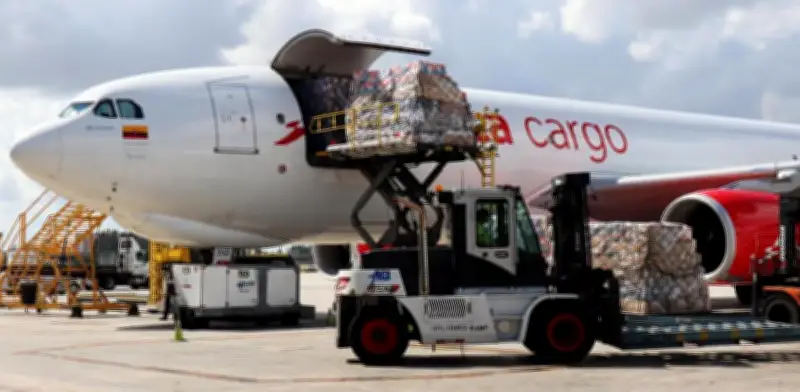 Colombia reafirma liderazgo mundial en exportación de flores durante temporada de San Valentín