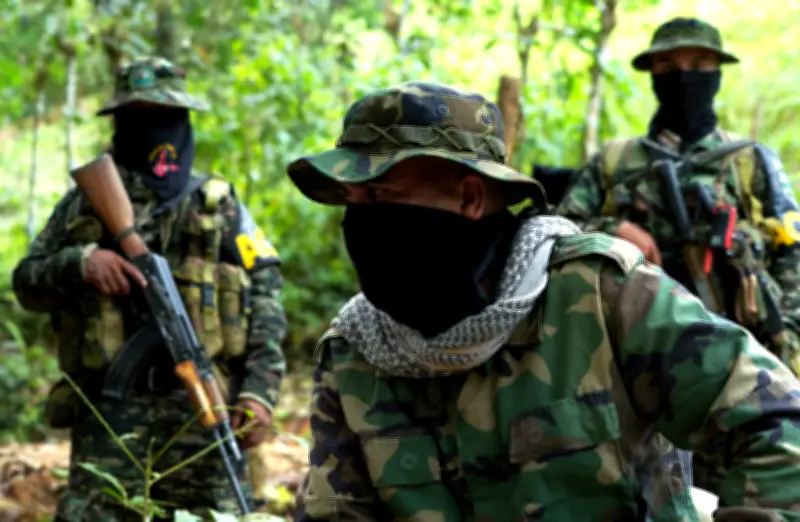 Combates entre ACSN y Clan del Golfo desplazan a 172 personas en Magdalena