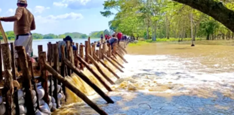 Comunidades del Bajo Sinú en Córdoba enfrentan inundaciones por boquetes del río