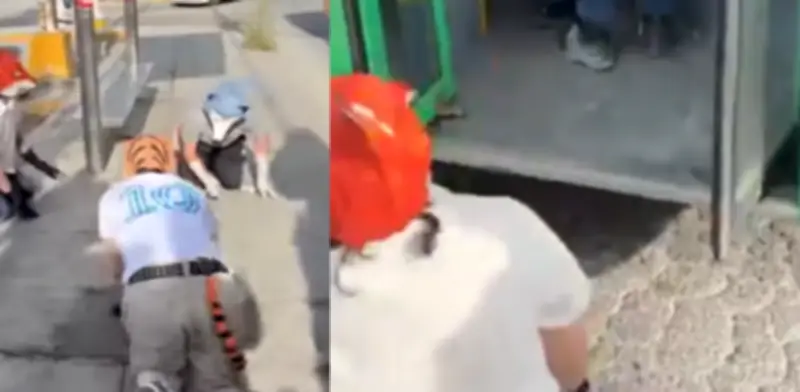 Conductor de bus en México cierra puertas a joven 'therian' que intentaba abordar