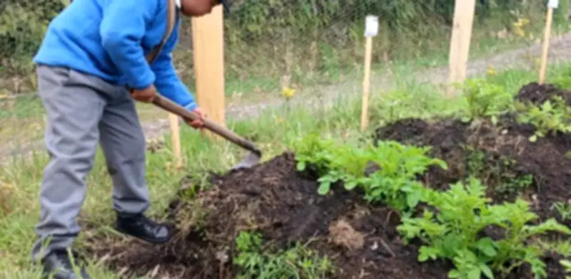 Conferencia Internacional sobre Reforma Agraria inicia en Cartagena con enfoque en crisis climática