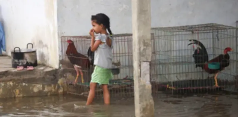 Consejo Gremial exige enfoque humanitario y rechaza nuevos impuestos por emergencia invernal