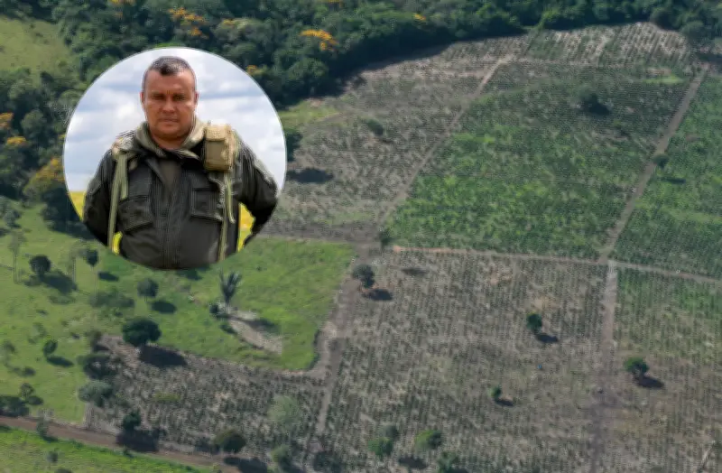 Contradicción en la Amazonía: Acuerdos de paz vs. expansión ganadera y deforestación