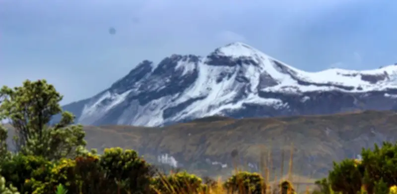 Contraloría alerta graves fallas en Estrategia Nacional de Financiamiento Climático