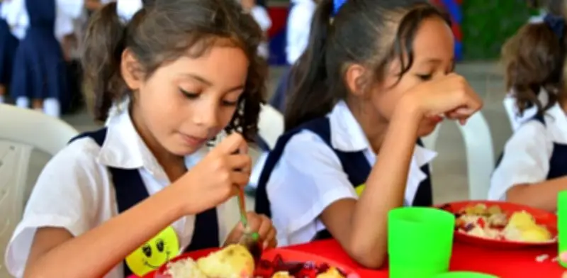 Contraloría detecta graves irregularidades por $53.117 millones en Programa de Alimentación Escolar
