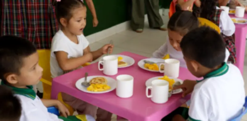 Contraloría detecta hallazgos fiscales por $53.000 millones en Programa de Alimentación Escolar