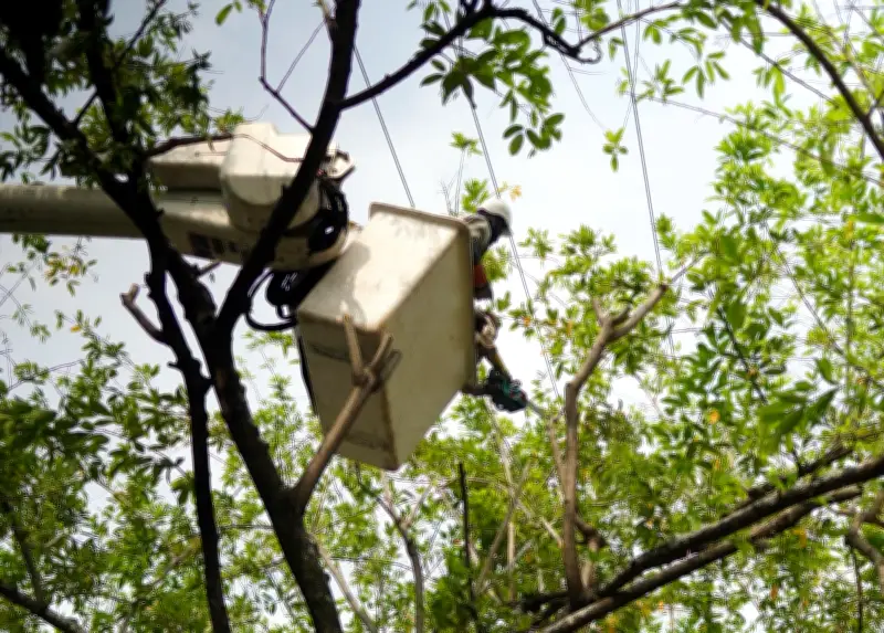 Corte de servicios públicos en Cali: 10 barrios sin agua y luz este jueves