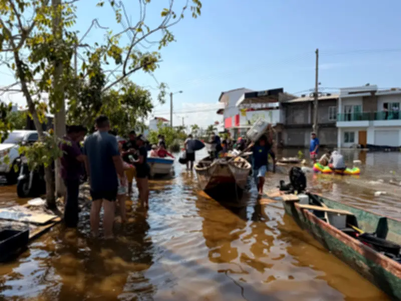 Córdoba enfrenta crisis sanitaria por animales muertos en inundaciones