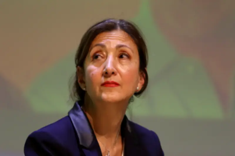 Crisis en el partido Verde Oxígeno: renuncias masivas a la lista al Senado