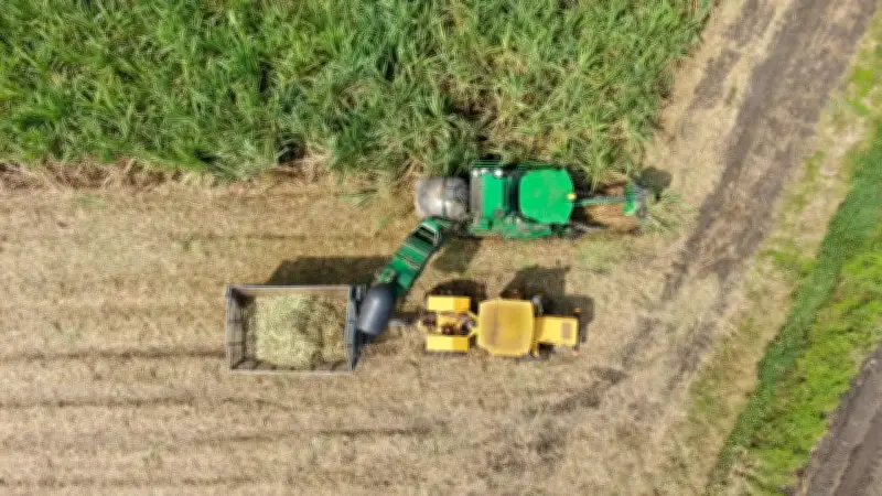 Crisis en el sector azucarero: 50 millones de litros de etanol detenidos