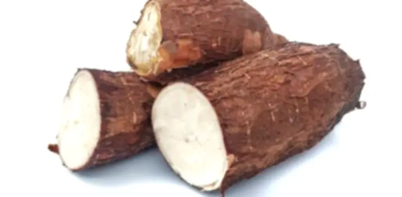 Crisis invernal en Córdoba dispara precios de yuca, plátano y mazorca en el Atlántico