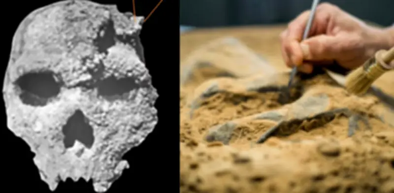 Cráneo de Petralona: hallazgo que desafía la evolución humana con 286.000 años