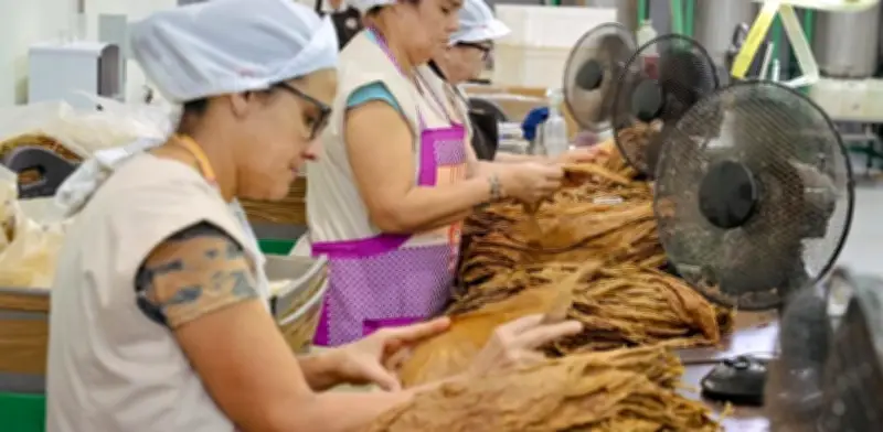 Cuba: Sector privado importa combustible pese al bloqueo petrolero de EE.UU.