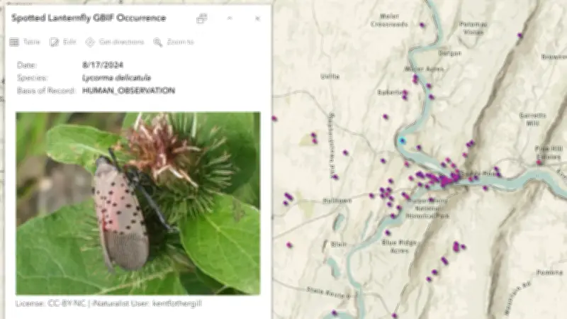 Datos Abiertos y Ciencia Ciudadana Revelan Nuevos Descubrimientos de Biodiversidad en Colombia