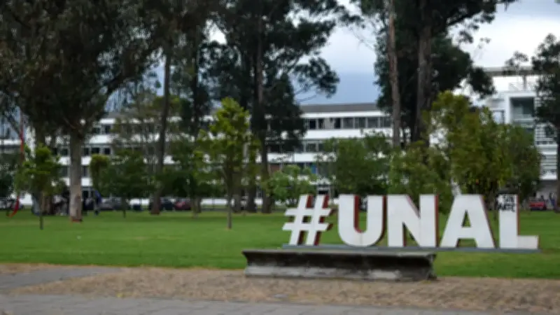 Decanos de la Universidad Nacional en Bogotá se pronuncian tras fallo del Tribunal Superior